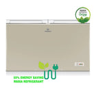 Dawlance 91998 Deep Freezer Signature Inverter GD