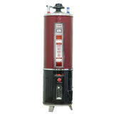 iZone Gas & Electric Geysers Supreme Twin 55GLN