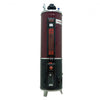 iZone Supreme Gas Water Geyser 25GLN