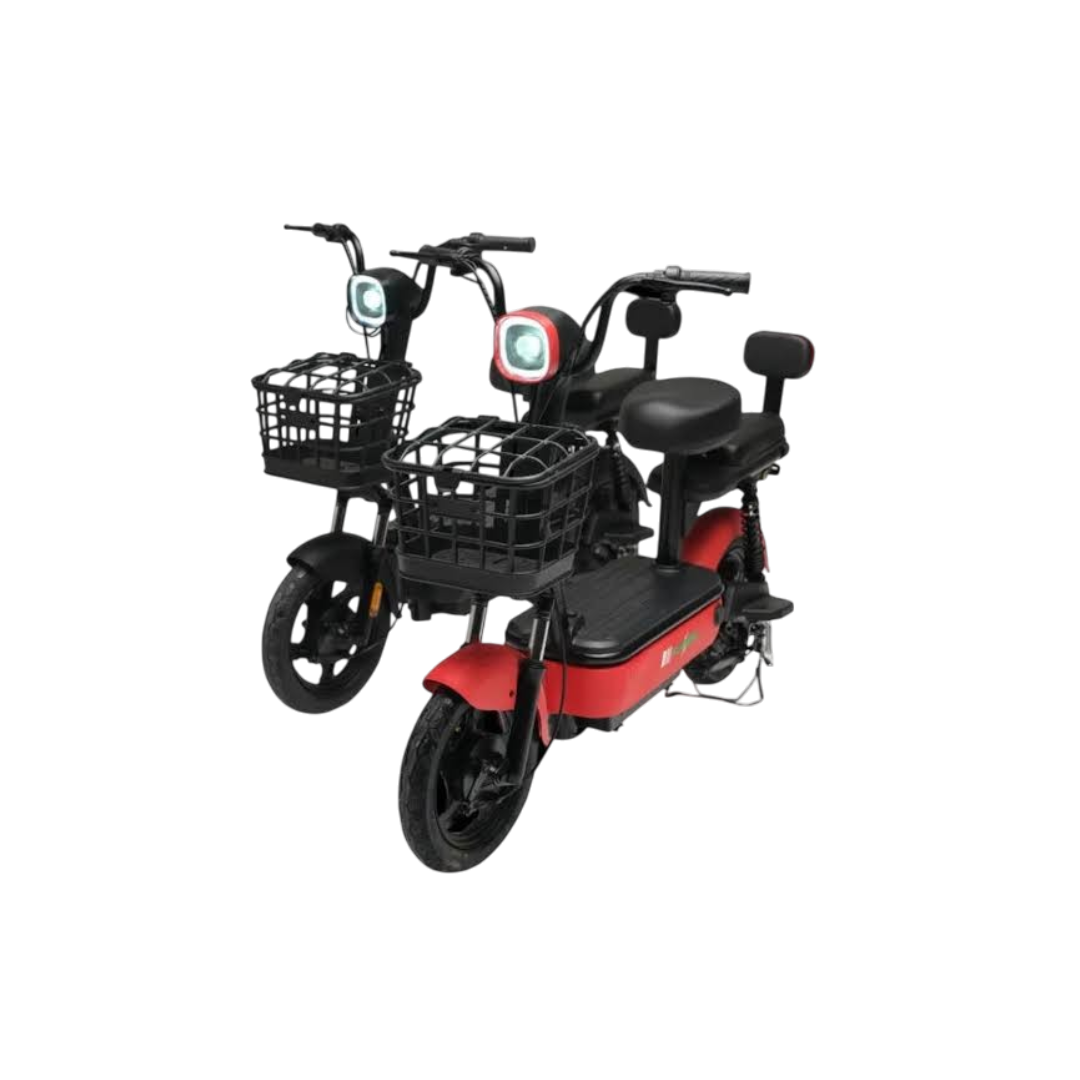 Evee Flipper Electric Bicycle