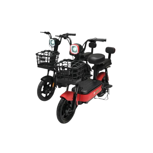 Evee Flipper Electric Bicycle