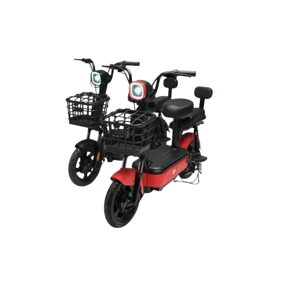 Evee Flipper Electric Bicycle