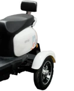 Evee Nisa 3W Electric Scooter